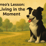 Oreo’s Lesson Living in the Moment