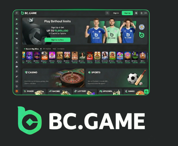 JB Casino Explained A Comprehensive Guide to Online Gaming